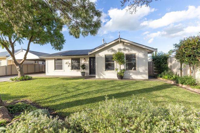 Picture of 65 GRIEVE AVENUE, NARACOORTE SA 5271