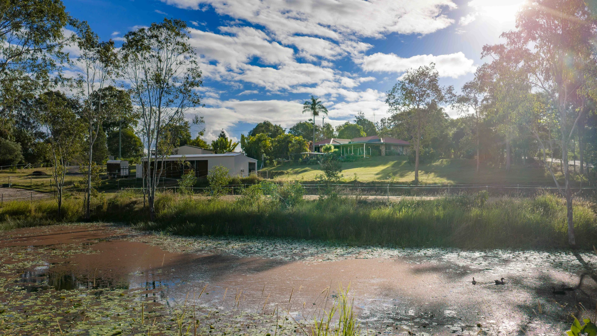 Image 26