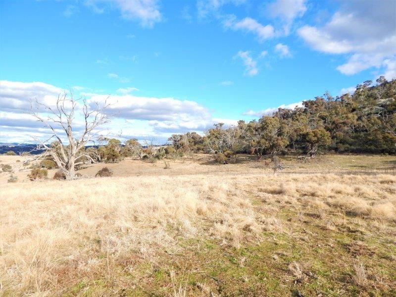 "Shaws Hill" Ironmungie Road, Dalgety NSW 2628, Image 1