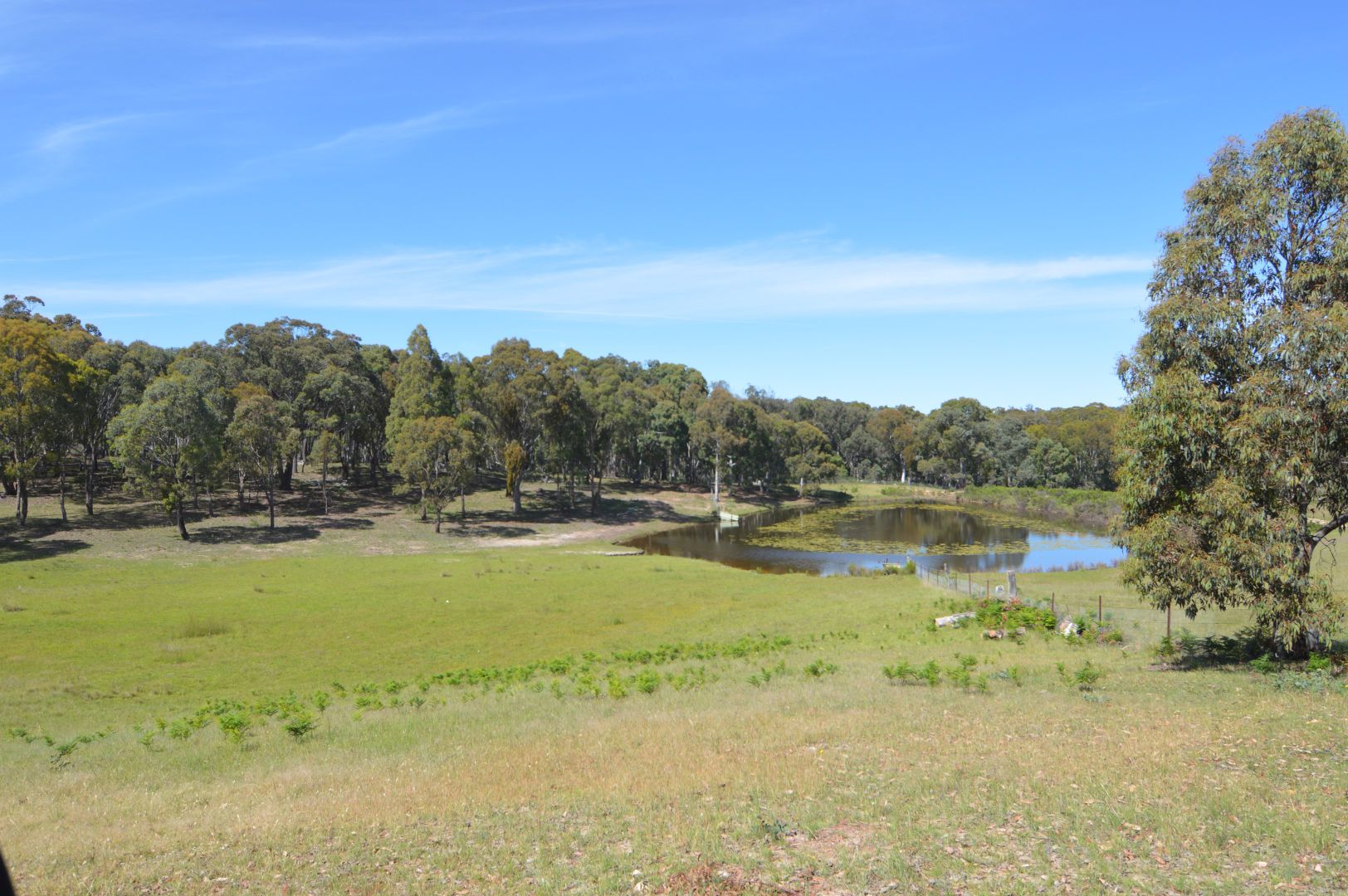 6728 Castlereagh Highway, Ilford NSW 2850, Image 1