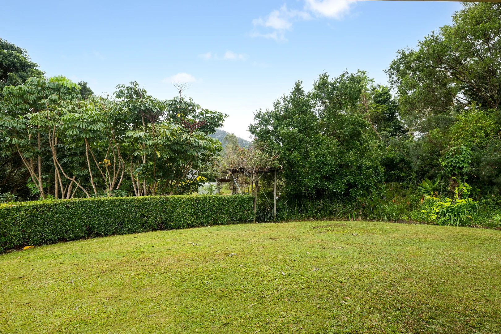 Image 28