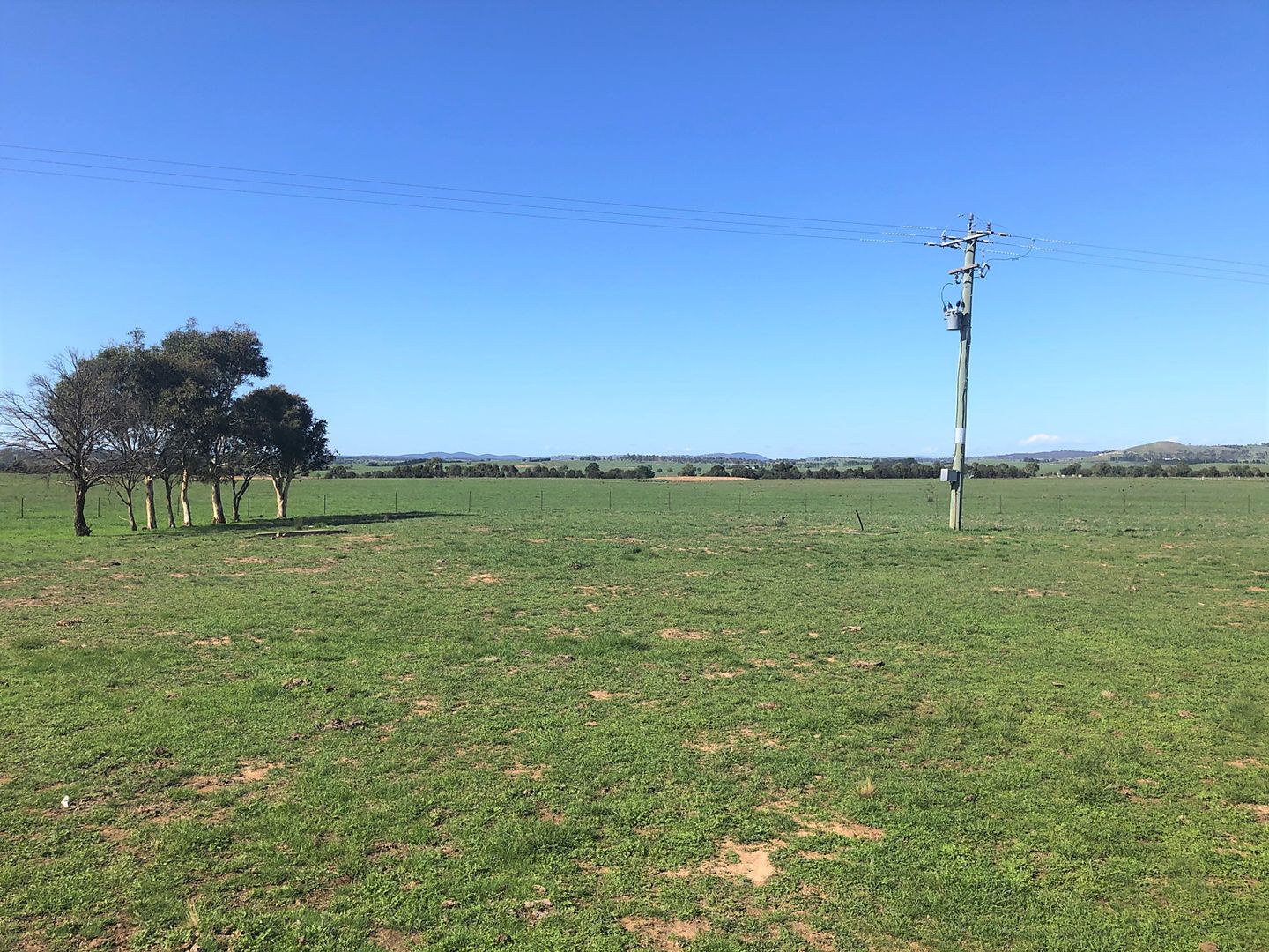 1973 Murrumbateman Road, Gundaroo NSW 2620, Image 1