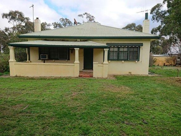 545 Bet Bet Creek Road, Timor VIC 3465, Image 0