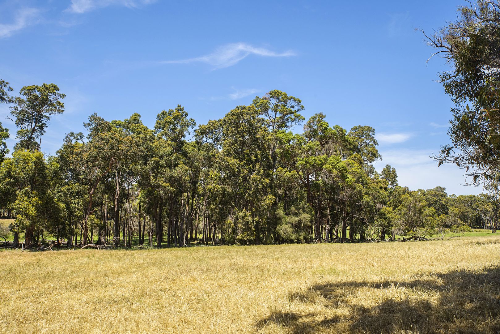 Lot 2 Chapman Hill Road, Chapman Hill WA 6280, Image 1