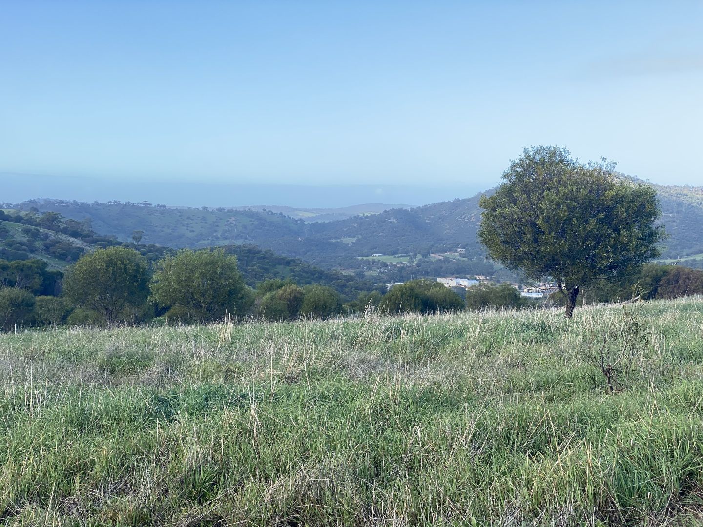 Lot 121 Whitfield Rd, Dumbarton WA 6566 House for Sale Domain