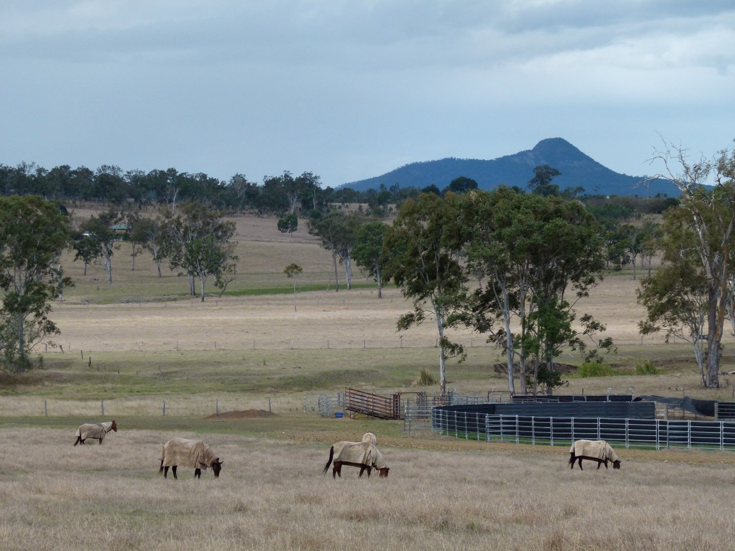 982 Munbilla Road, Milora QLD 4309, Image 1