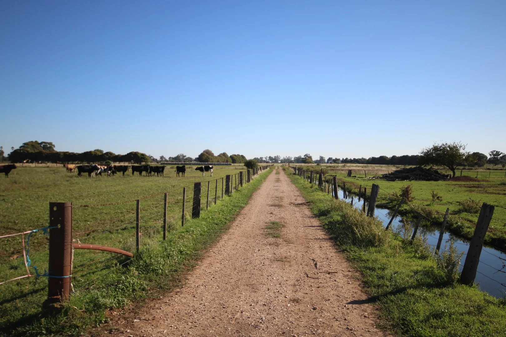 Additional image 24 of 332 McColl Road, Ballendella VIC 3561