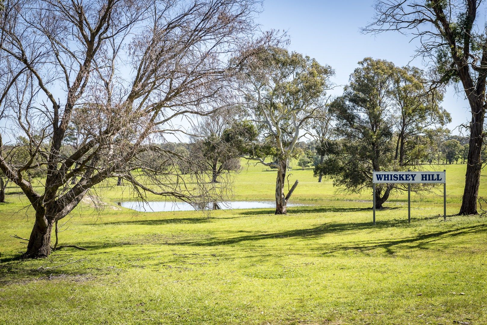 Lot 12 & 14 Joadja Road, Mandemar NSW 2575, Image 0