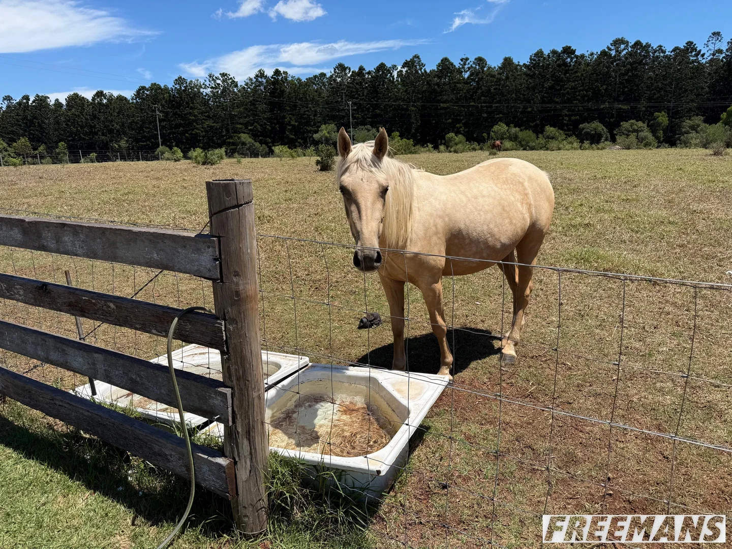 Additional image 23 of 15 Behs Road, South Nanango QLD 4615
