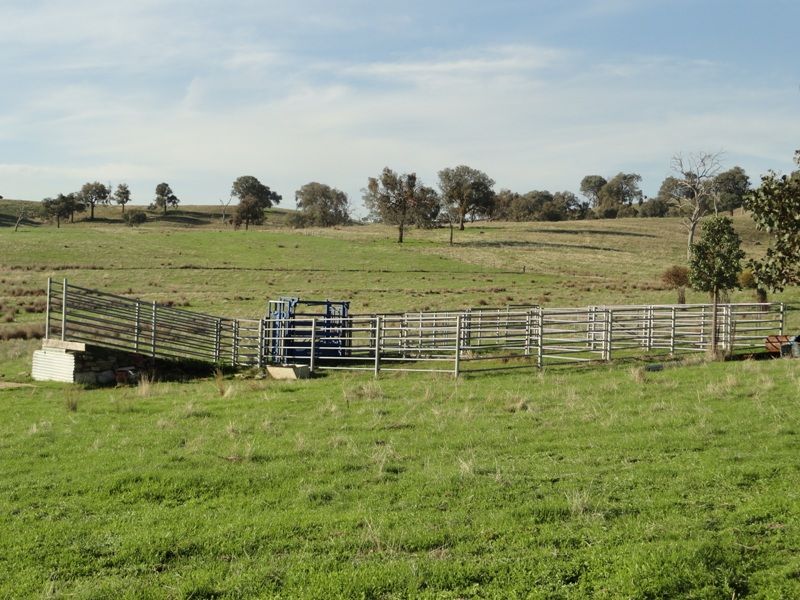 Lot 58 'Part Montrose' Hume Freeway, MULLENGANDRA NSW 2644, Image 2