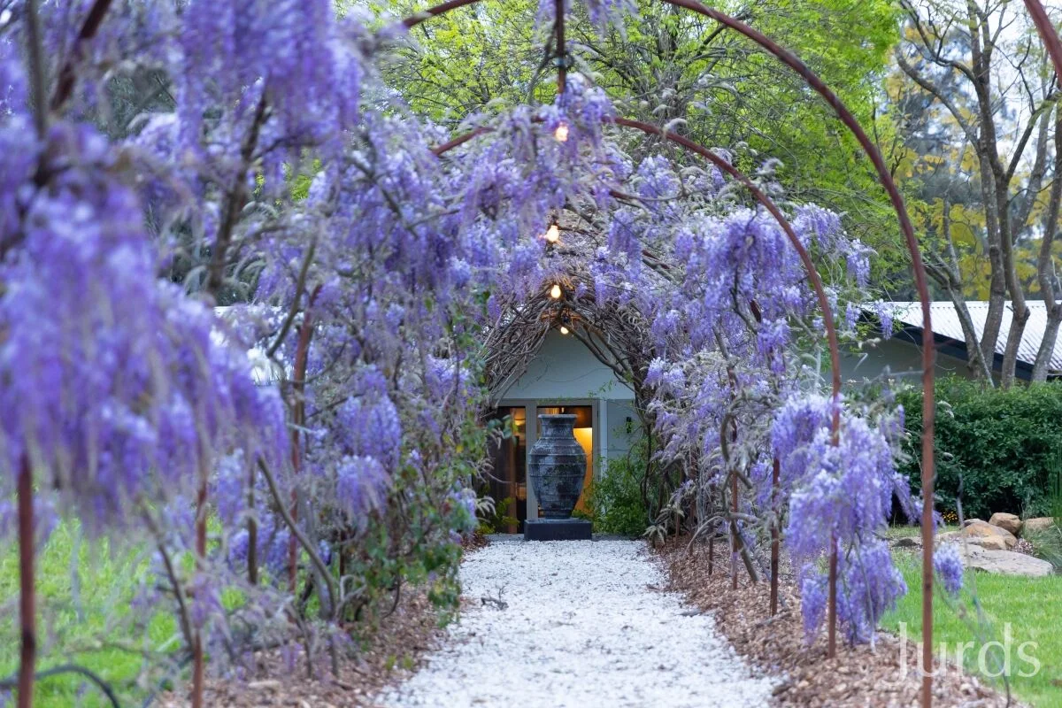 Additional image 25 of 107 Halls Road, Pokolbin NSW 2320