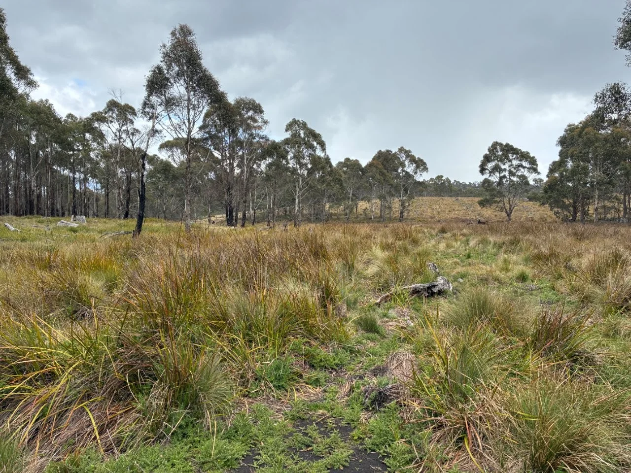 Additional image 25 of 2413 Nugent Road, Buckland TAS 7190