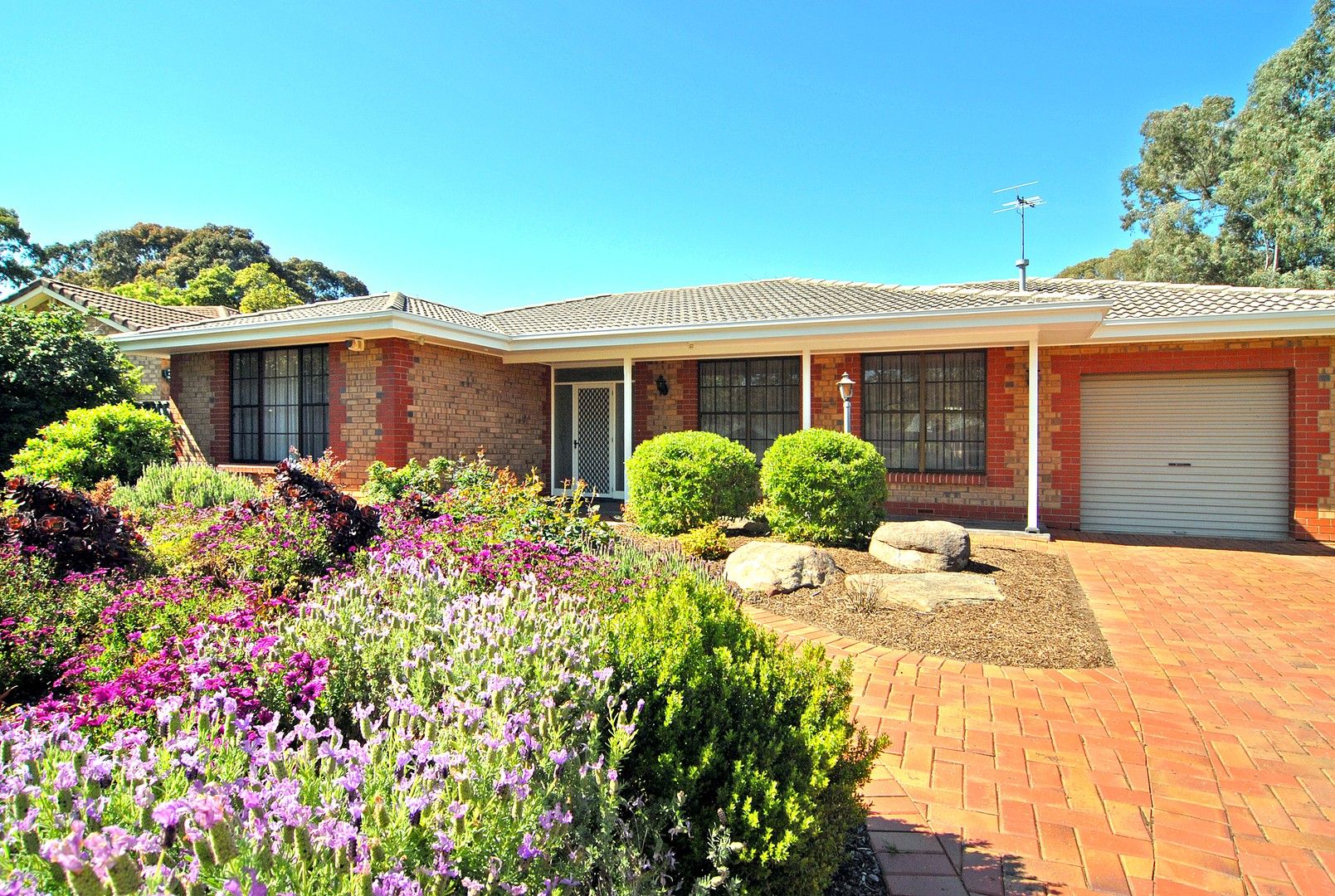 1 Ey Court, Athelstone SA 5076, Image 0