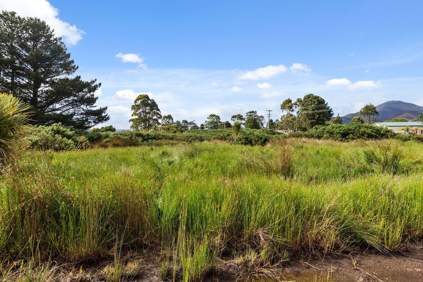 12 Mulcahy Street, Zeehan TAS 7469, Image 0