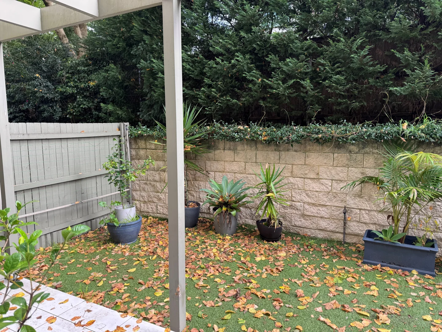 Additional image 2 of 2/2A Killara Avenue, Killara NSW 2071