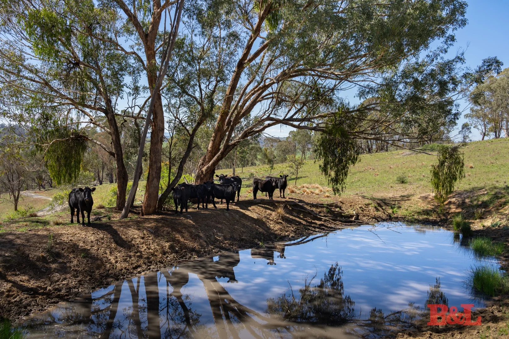 Additional image 29 of 1916 Mid Western Highway, Bathampton via, Bathurst NSW 2795
