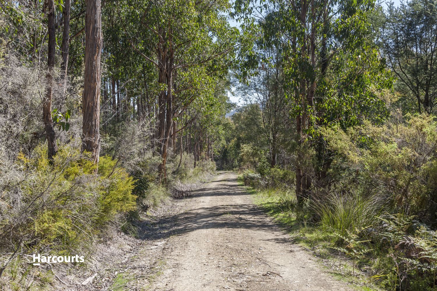 - Wallis Road, Judbury TAS 7109, Image 1