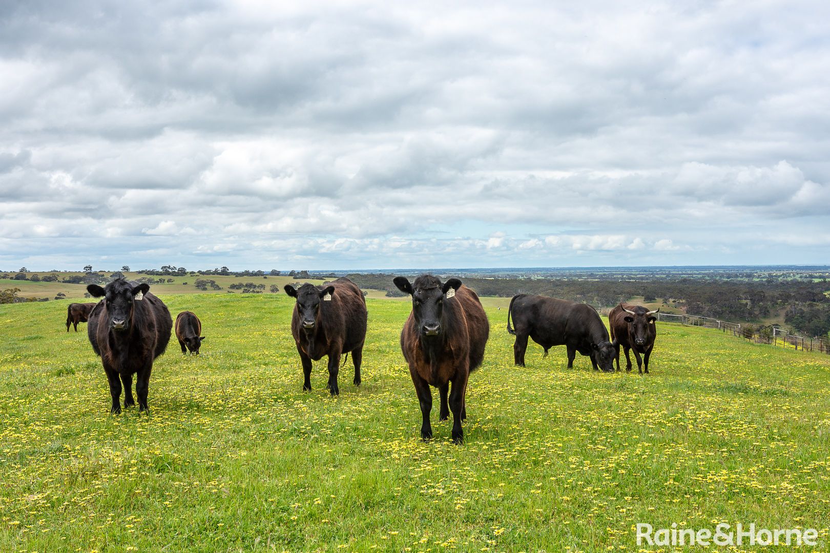 . Signal Flat Road, Finniss SA 5255, Image 2