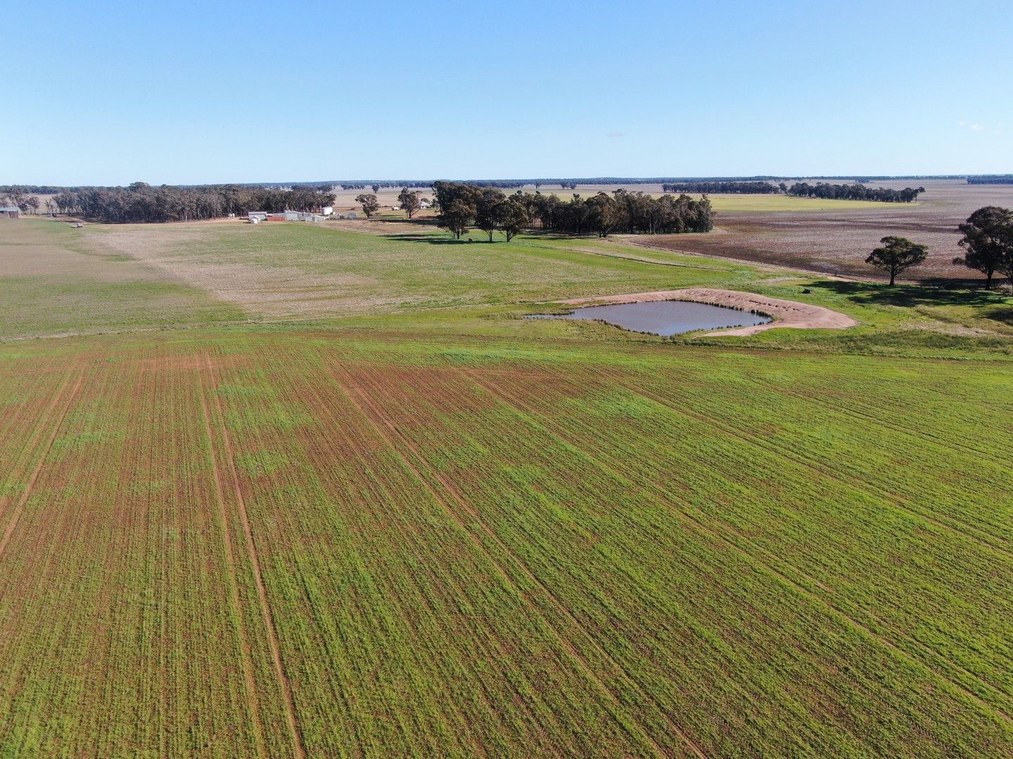 'Glenearra', 1168 Schmidts Lane, Gidginbung NSW 2666, Image 0