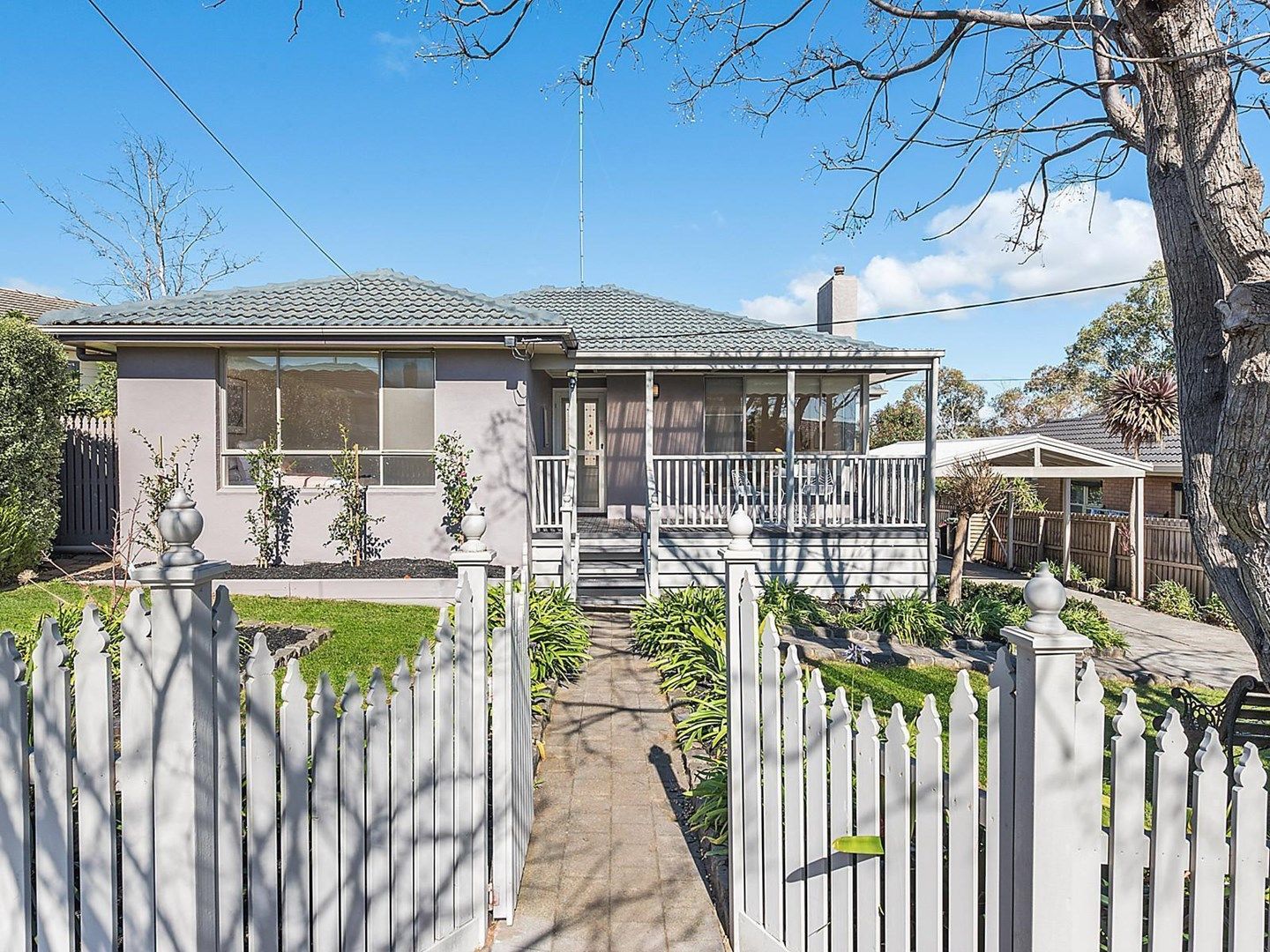 31 Helena Street, Belmont VIC 3216, Image 0