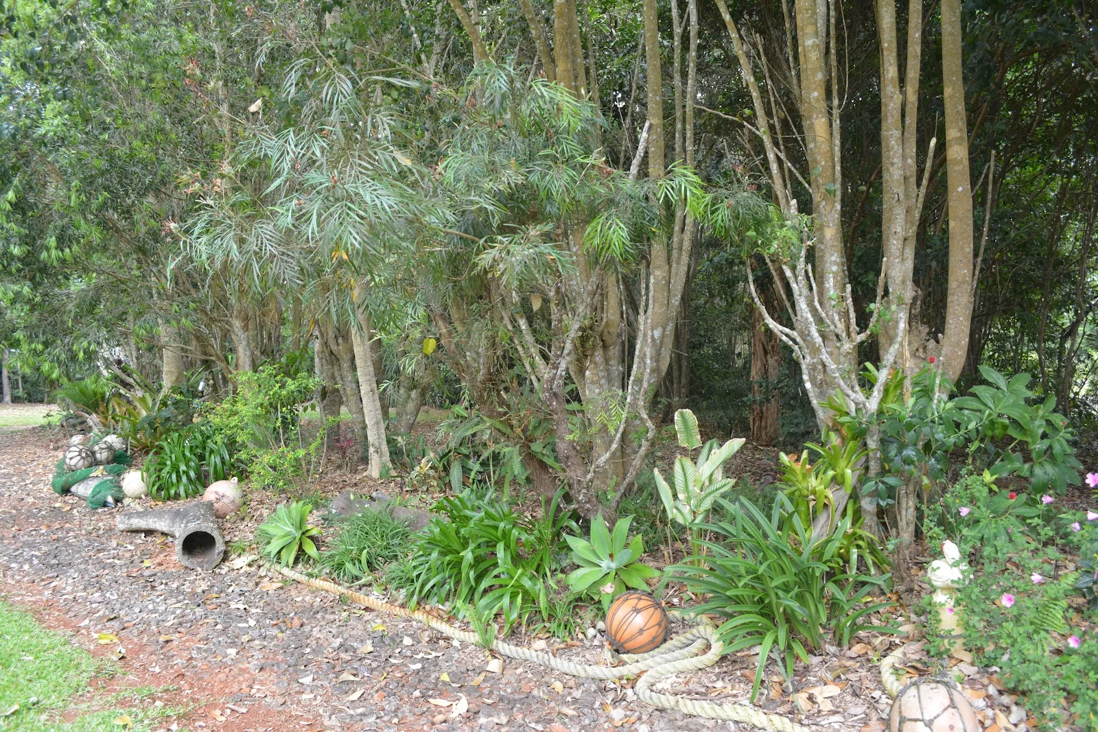 Image 40