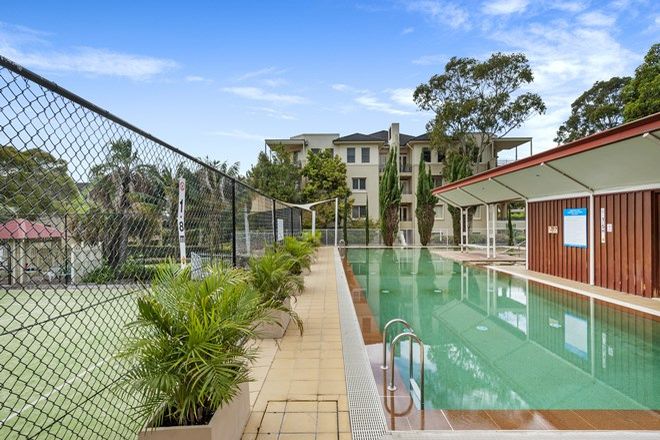 Picture of 3/5 Figtree Avenue, ABBOTSFORD NSW 2046