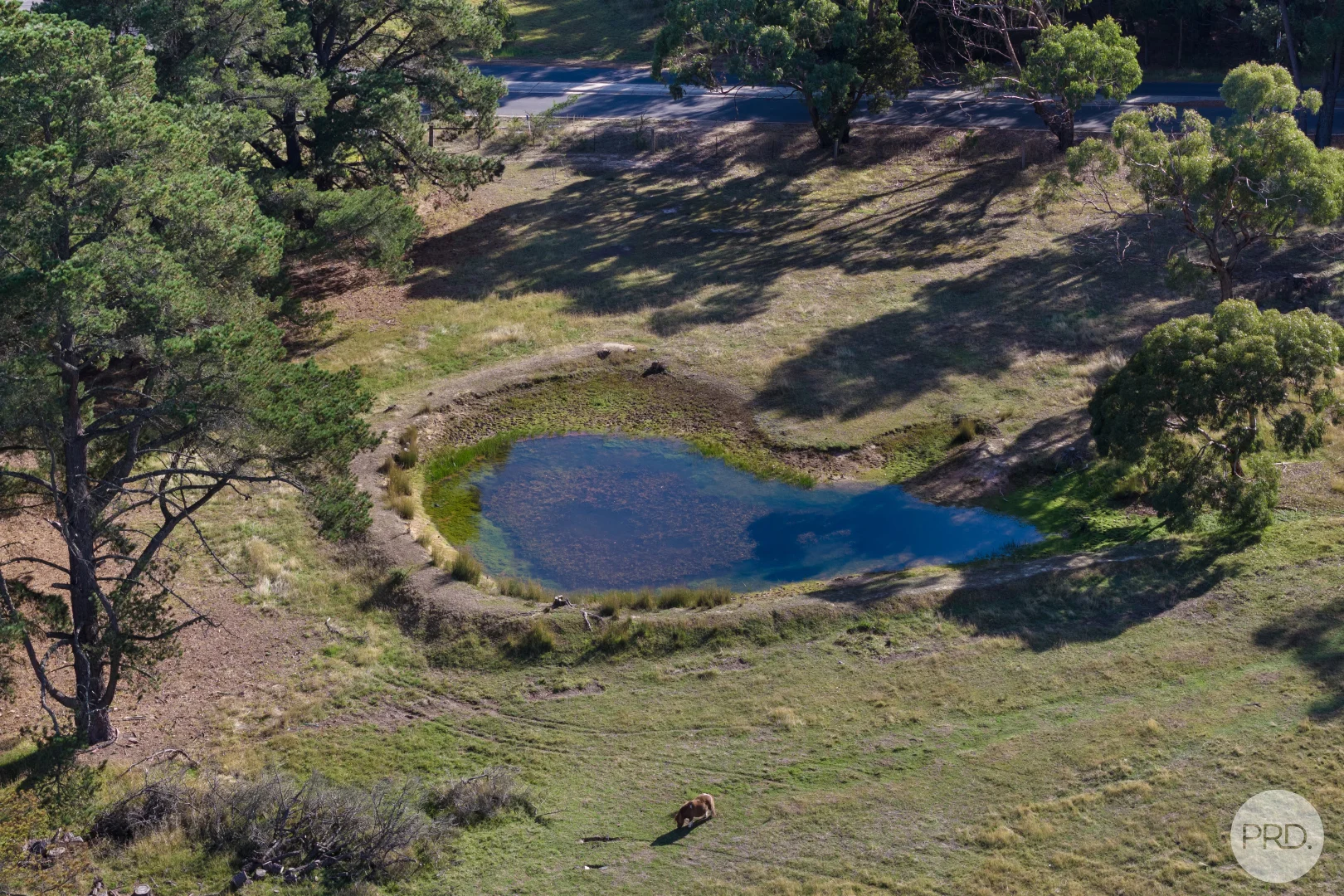 Additional image 17 of 785 Bells Road, Haddon VIC 3351