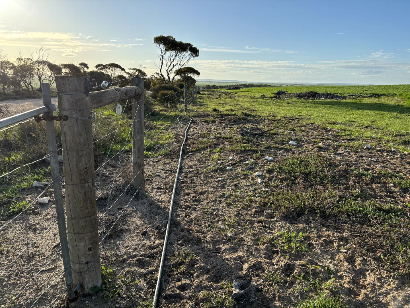 Image 11