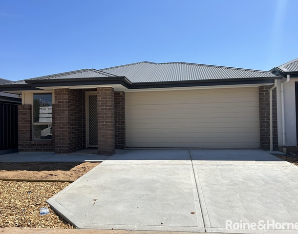 62 Hayfield Avenue, Blakeview SA 5114