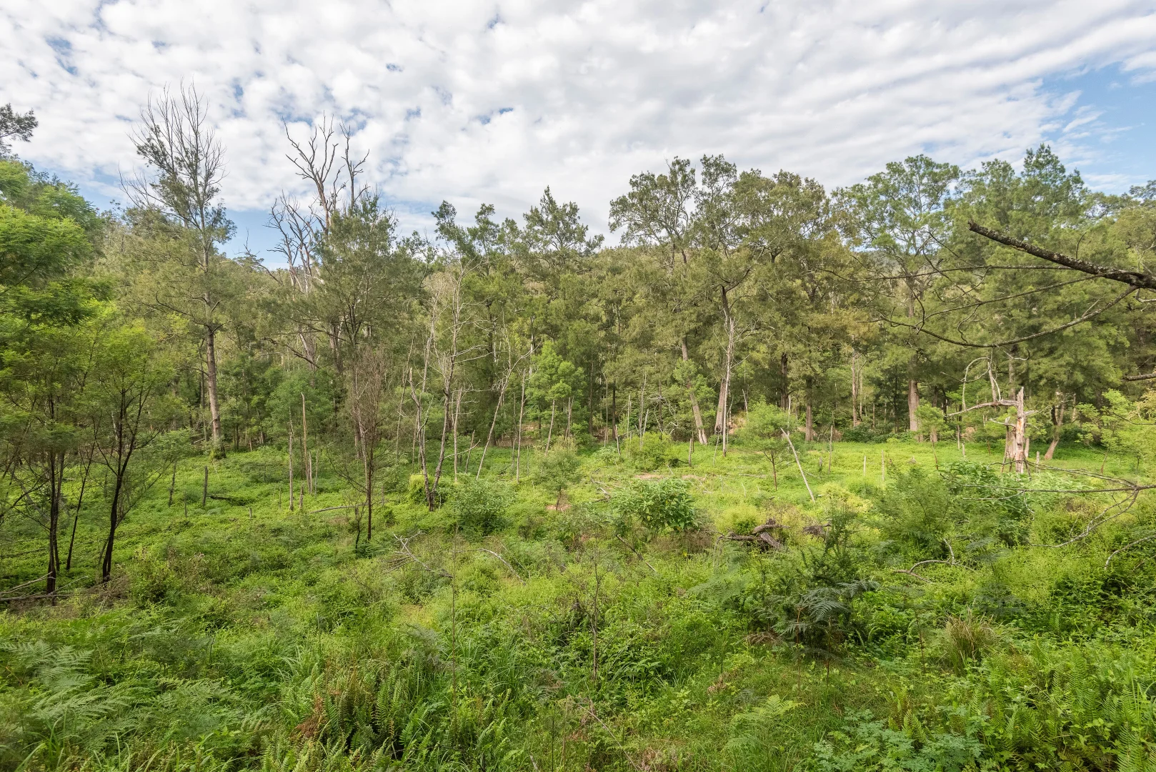 Additional image 8 of 2600 Araluen Road, Deua River Valley NSW 2537