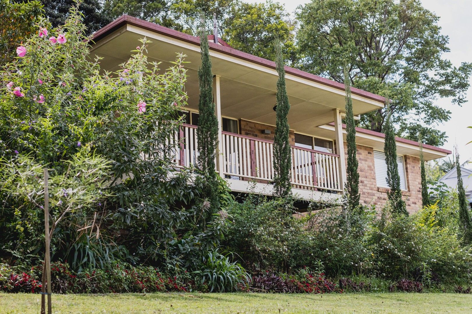 22 Fig St, Maleny QLD 4552 Domain