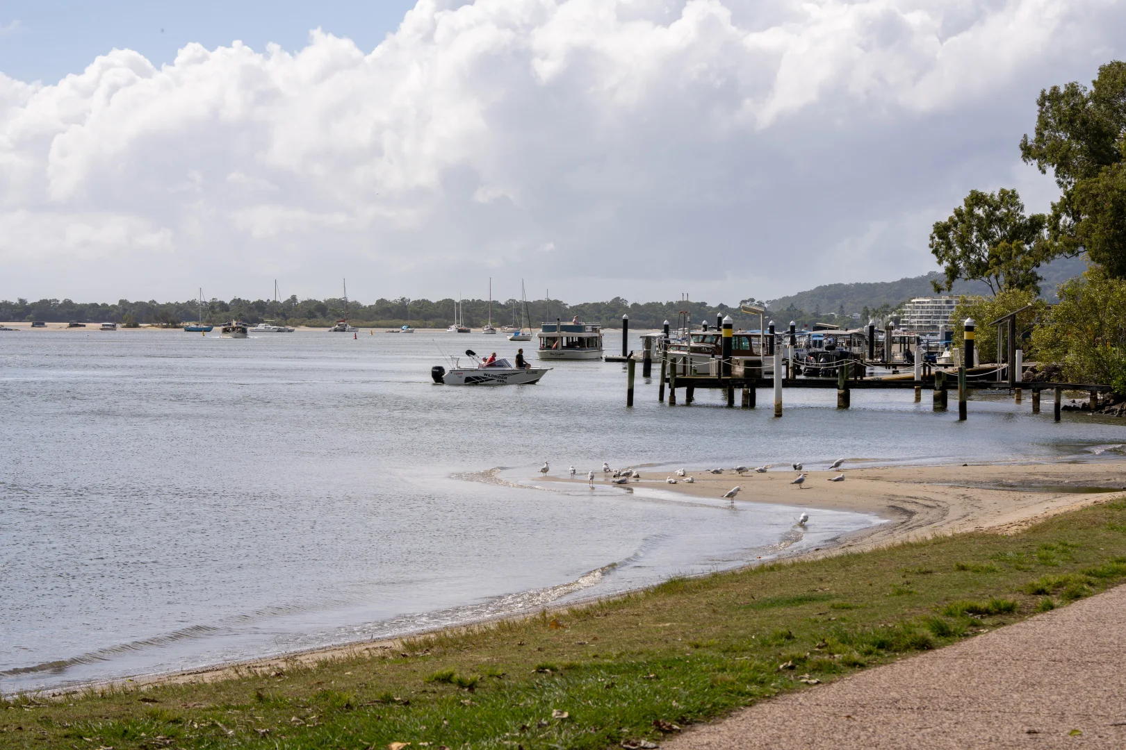Image 13