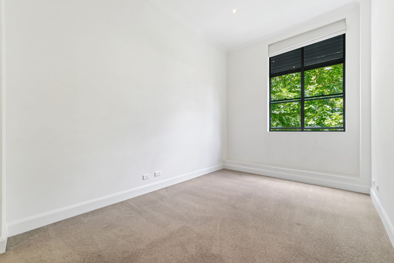 3/62 Booth Street, Annandale NSW 2038, Image 1