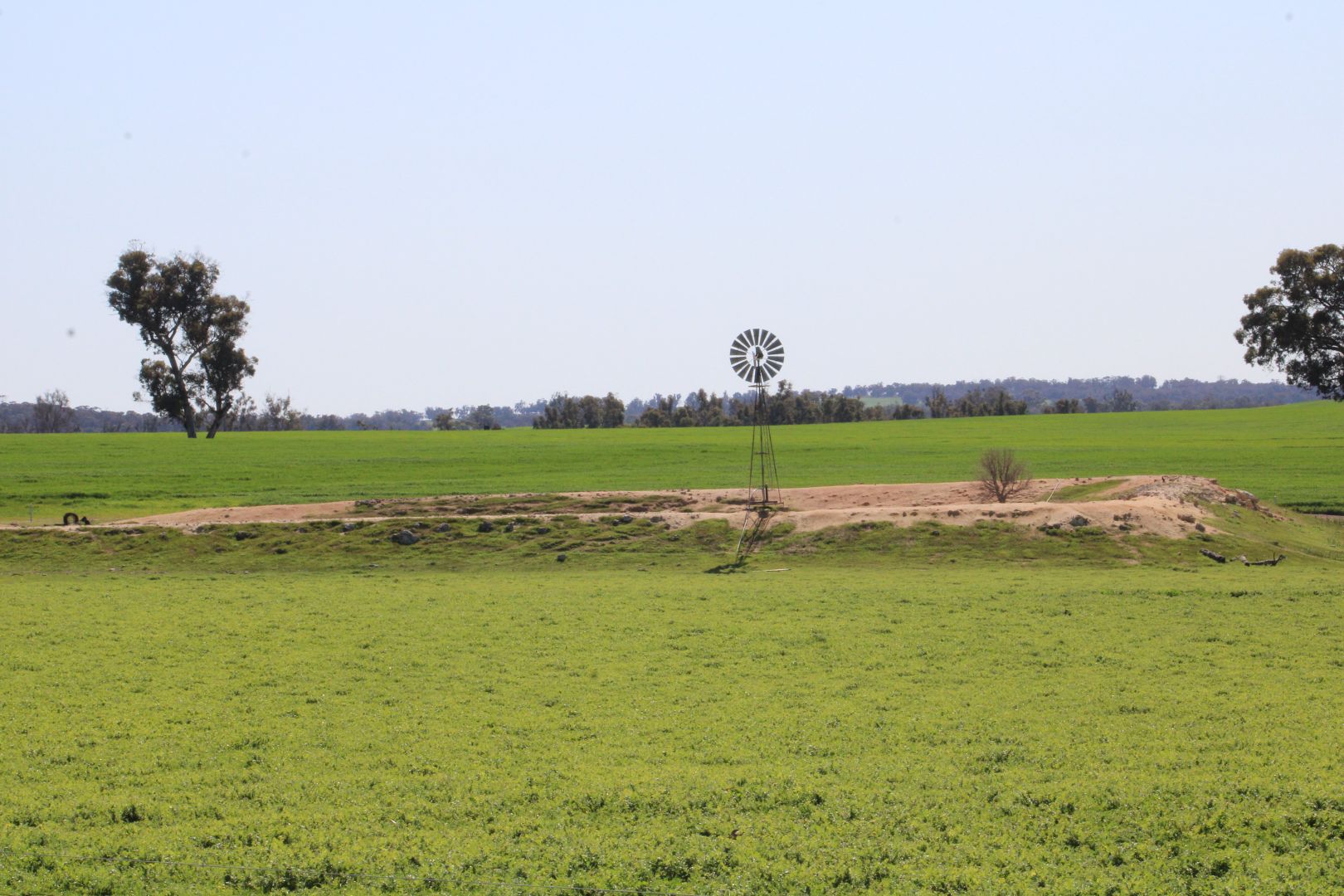 8716 Boyup BrookArthur Road, Arthur River WA 6315 Farm for Sale 6,600,000