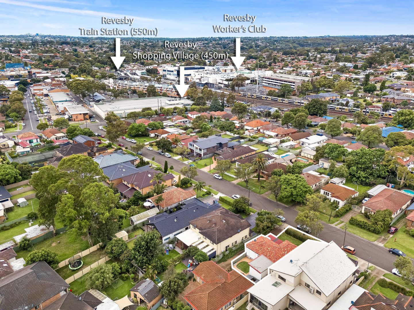 20 Robb Street, Revesby NSW 2212, Image 1