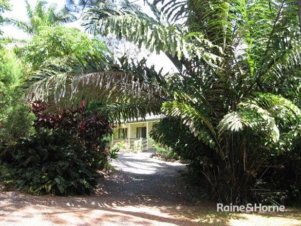 1644 Mossman Mt Molloy Rd, Julatten QLD 4871, Image 2