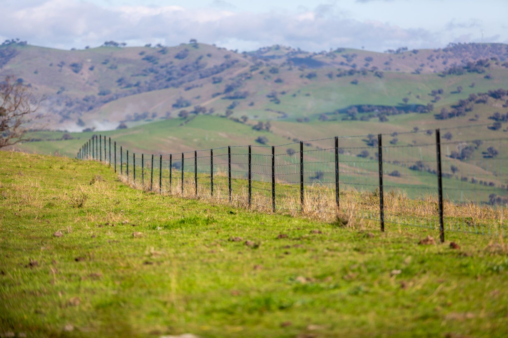 1770 Darbalara Road, Gundagai NSW 2722 Specialist Farm for Sale