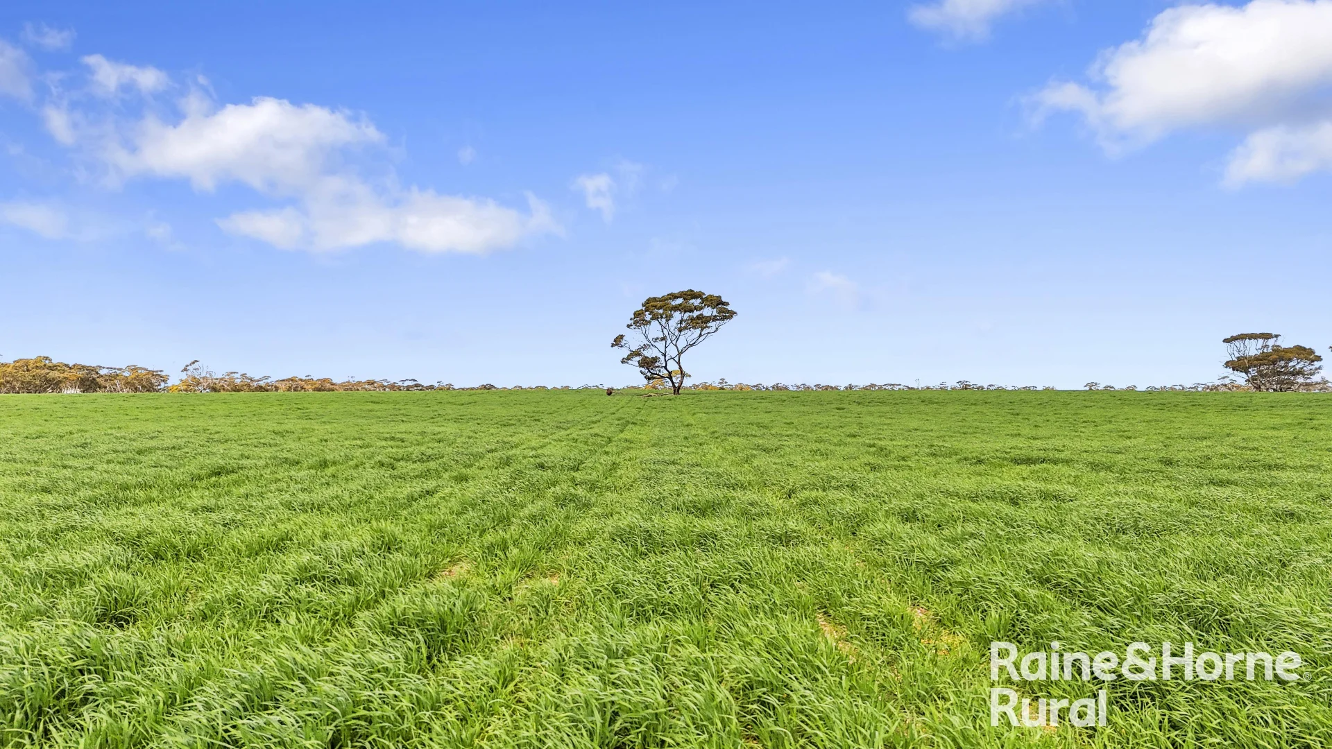 Additional image 42 of 714 Buccleuch South Road, Yumali SA 5261