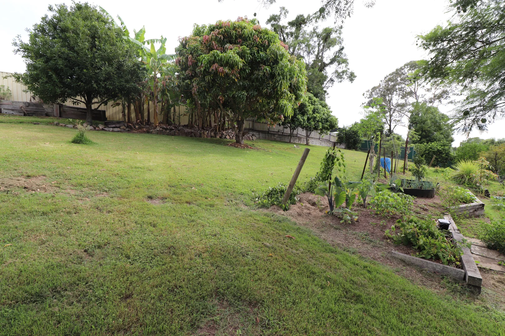 Additional image 24 of 55 Craig Street, East Kempsey NSW 2440