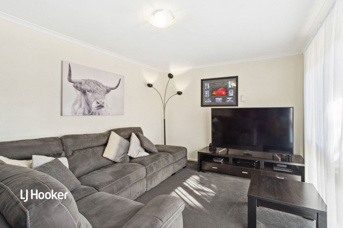 29 Callitris Avenue, Surrey Downs SA 5126, Image 2