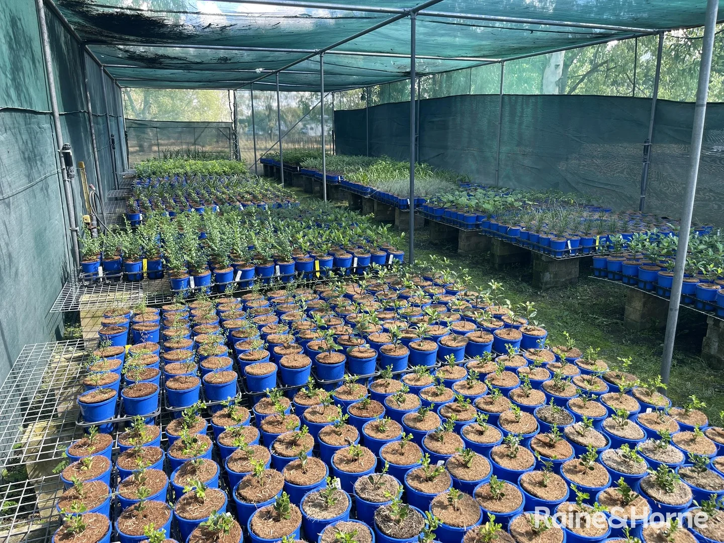 Additional image 19 of 361 Polo Road, Goondiwindi QLD 4390