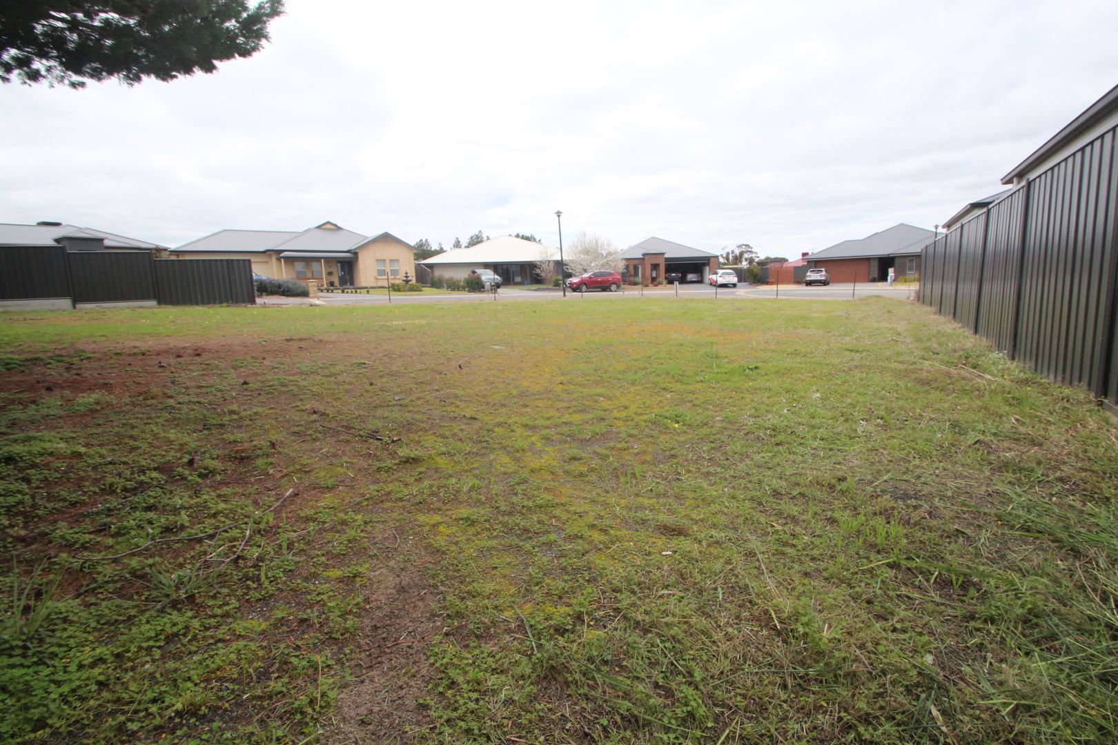 21 Heath Place, Nuriootpa SA 5355, Image 1