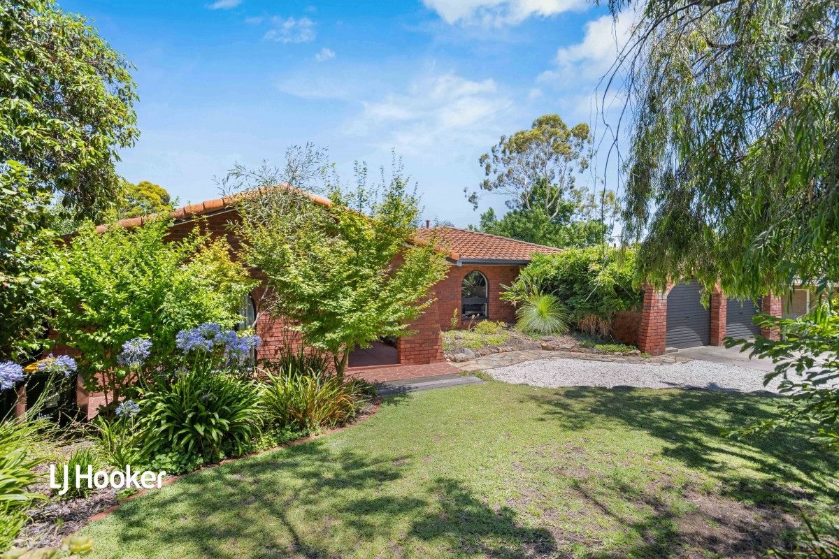 40 Waitara Road, Banksia Park SA 5091, Image 0