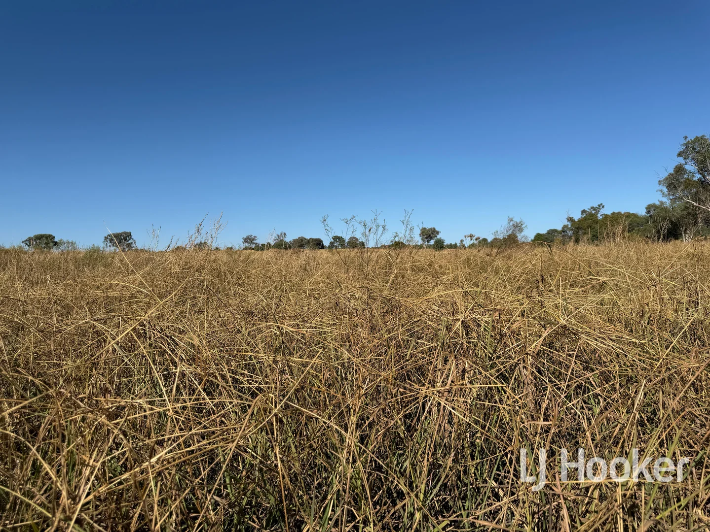 Additional image 18 of Gwydir Highway, Inverell NSW 2360