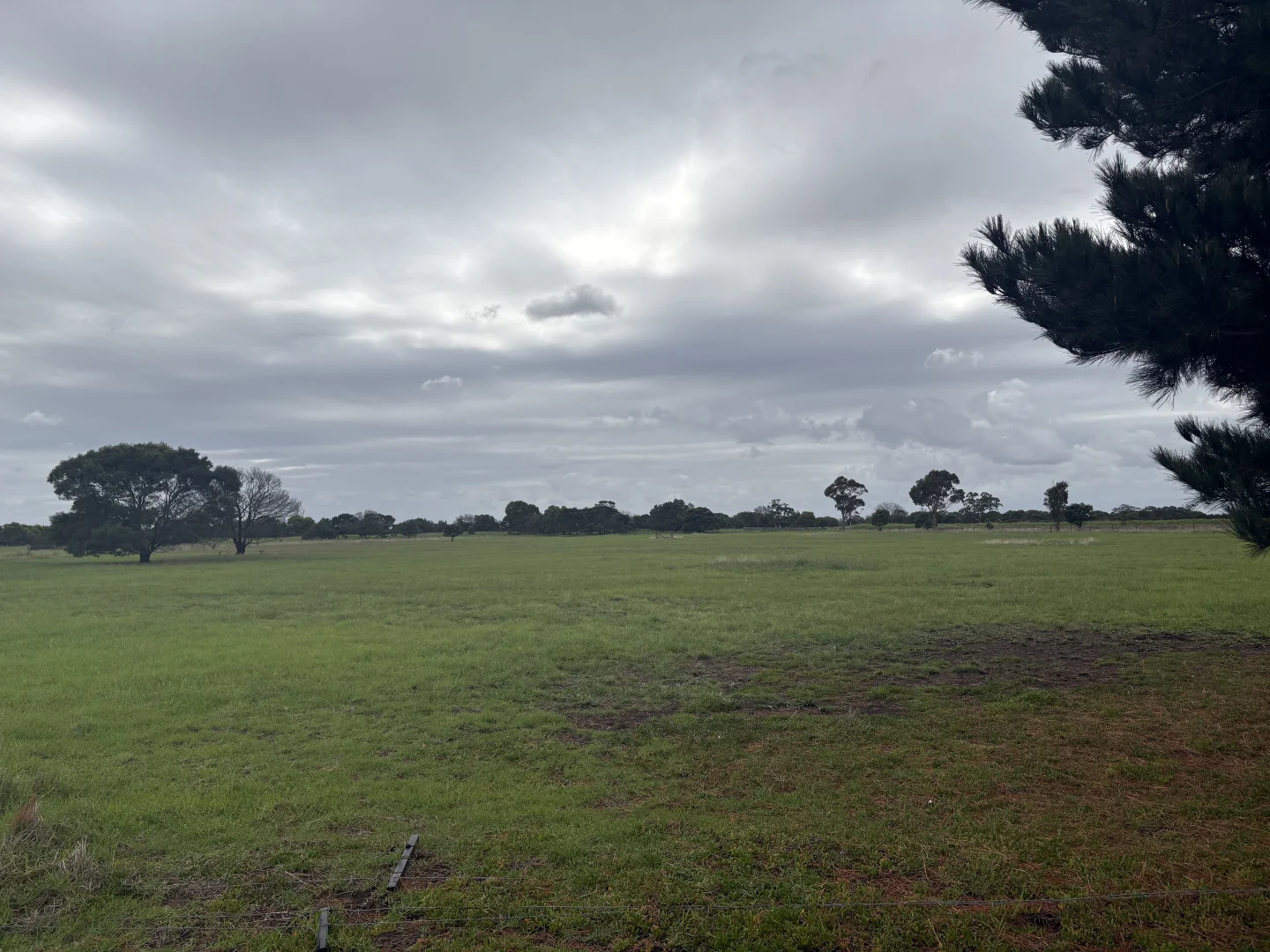 Image 10