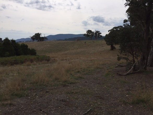 Lot 3 Murchison Spur Rd, Reedy Creek VIC 3658, Image 1