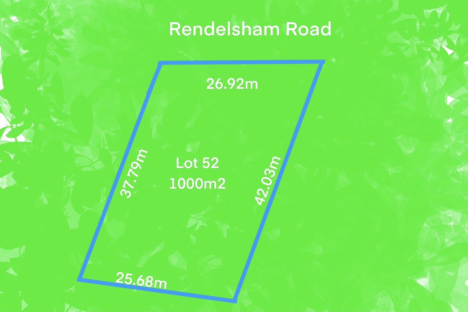 52 Rendelsham Road, Millicent SA 5280, Image 1