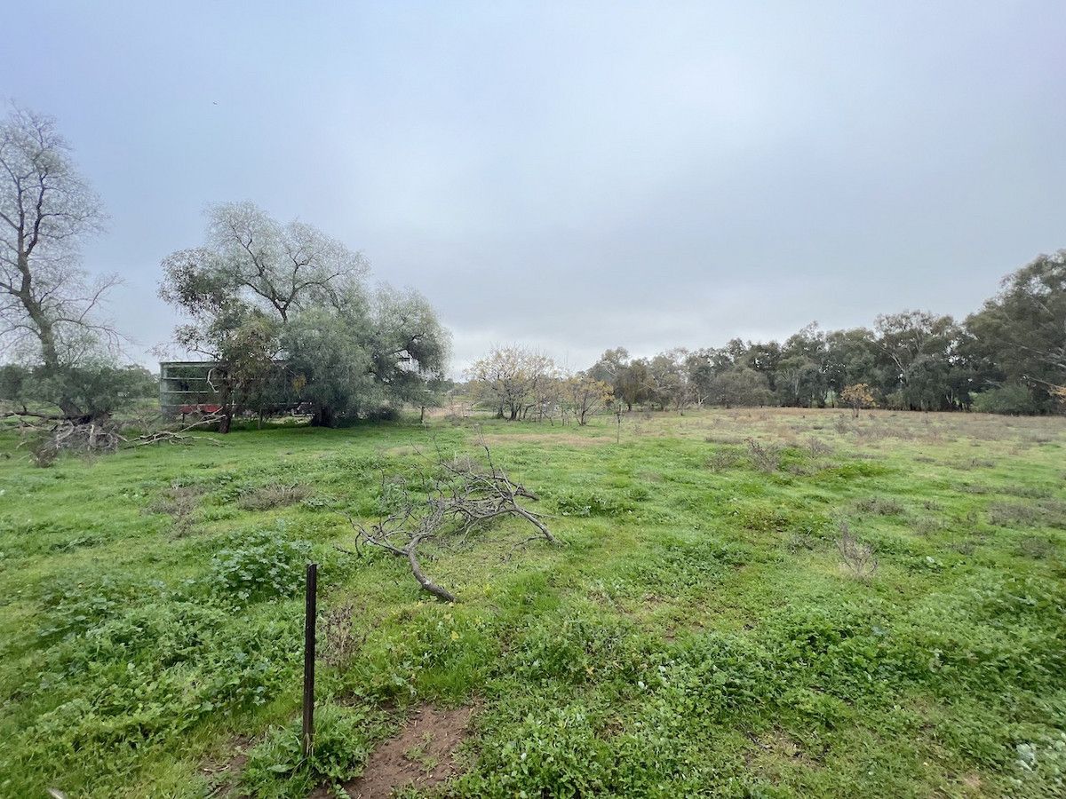 2366 Sturt Highway, Collingullie NSW 2650, Image 2