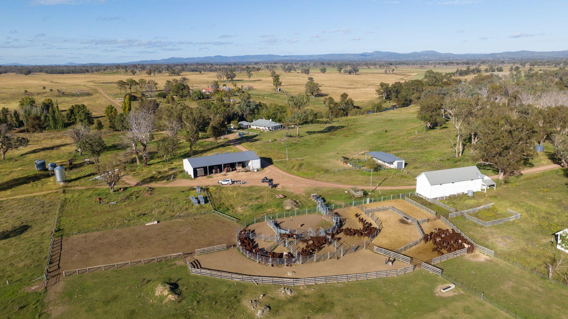 50 Laura Homestead Road, Bundarra NSW 2359 Farm for Sale Domain