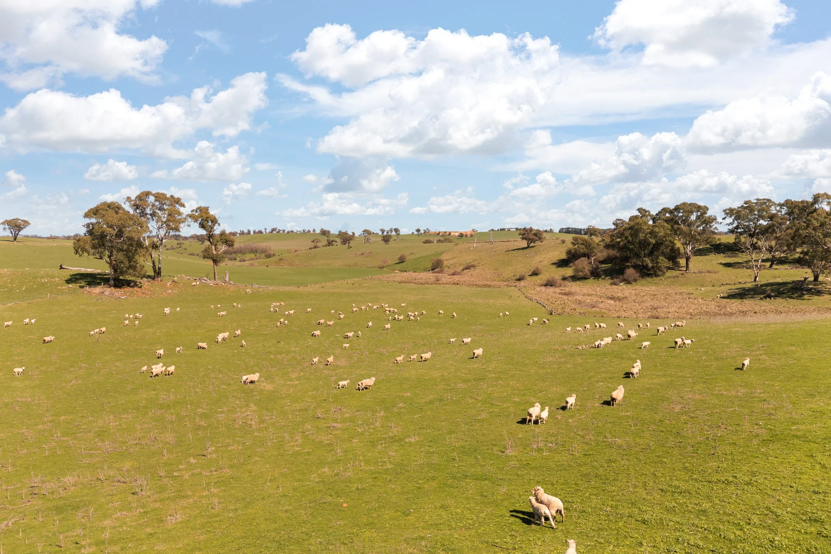 Additional image 17 of Millthorpe NSW 2798